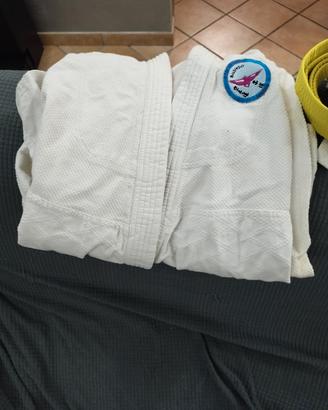 Completo judo
