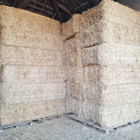 PAGLIA ALIMENTAZIONE e LETTIERA