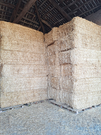 PAGLIA ALIMENTAZIONE e LETTIERA