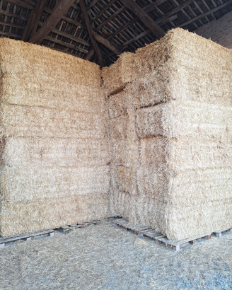 PAGLIA ALIMENTAZIONE e LETTIERA