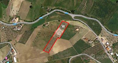 TER. AGRICOLO A CITTÀ SANT'ANGELO