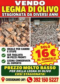 Legna di olivo da ardere