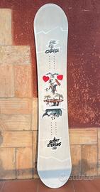 Tavola Snowboard capita Scott Stevens