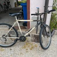 Bici da uomo