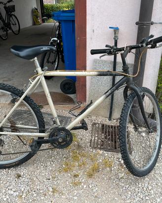 Bici da uomo