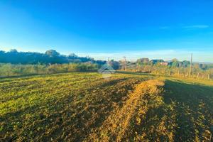 TER. AGRICOLO A ORIOLO ROMANO