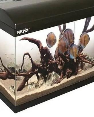 NO SPEDIZIONE Acquario Newa , solo vasca