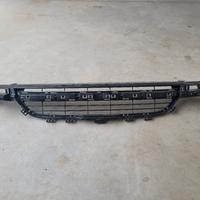 griglia paraurti 