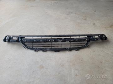 griglia paraurti 
