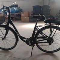 Bicicletta elettrica 
