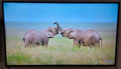 Televisore TV Sony 50 pollici smart