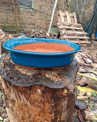 vaso bonsai