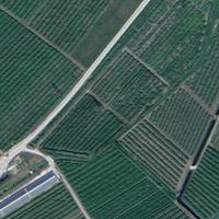 Terreno per il vino migliore