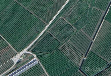 Terreno per il vino migliore