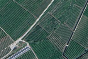 Terreno per il vino migliore