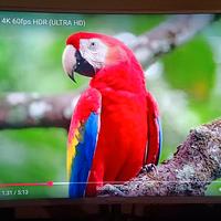 Monitor curvo 40 pollici  - Philips
