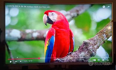 Monitor curvo 40 pollici  - Philips