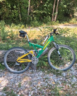 bici mtb