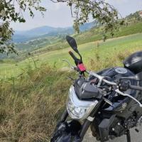 Yamaha FZ1