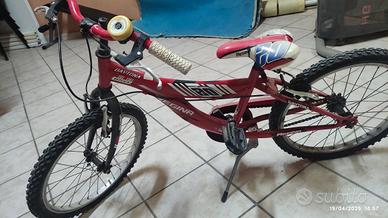 bici regina 20