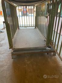 Pesatrice per animali