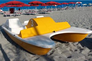 Pedalo Canoe