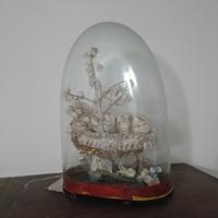 Maria bambina con teca