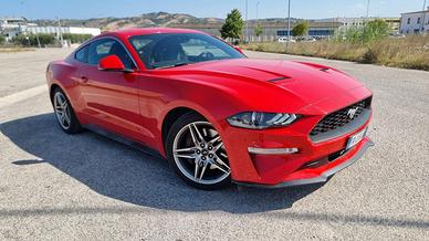 Ford  mustang
