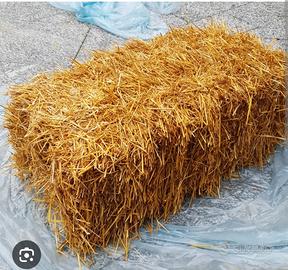 ballette di paglia