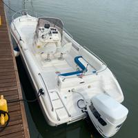 Ranieri voyager 22 Mercury 200