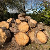 40 Quintali di legna per caminetto o stufa (circa)