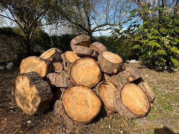 40 Quintali di legna per caminetto o stufa (circa)