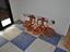 Immagine 25