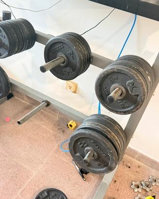 Dischi palestra