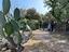 Immagine 1