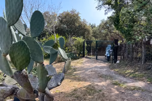Terreno
