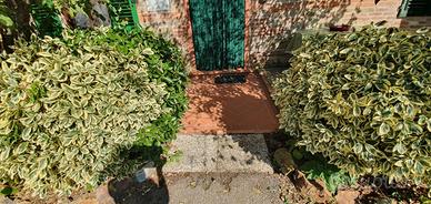 AA-A13 - Grazioso appartamento in Località Capanne