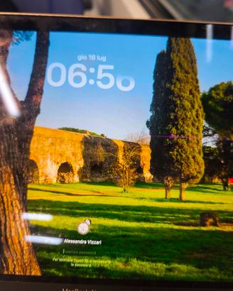 display Rosa Macbook air A2337