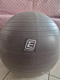 Palla Fitness Energetics 