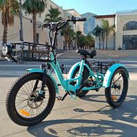 TK1 Folding Electric Trike - Praticamente Nuovo