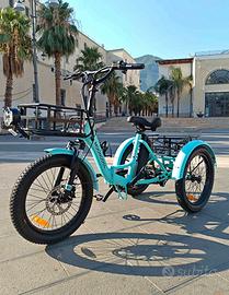 TK1 Folding Electric Trike - Praticamente Nuovo