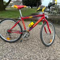 Mountain bike adulto