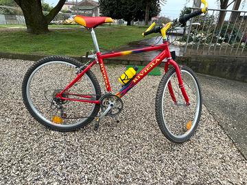 Mountain bike adulto