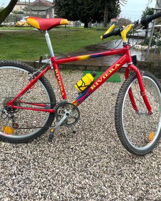 Mountain bike adulto