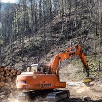 Escavatore hitachi ex135