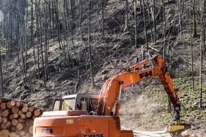 Escavatore hitachi ex135