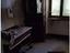 Immagine 10
