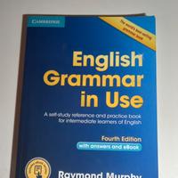 English grammar in use 9781107539334