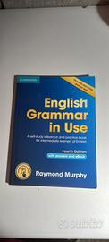English grammar in use 9781107539334