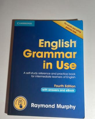 English grammar in use 9781107539334